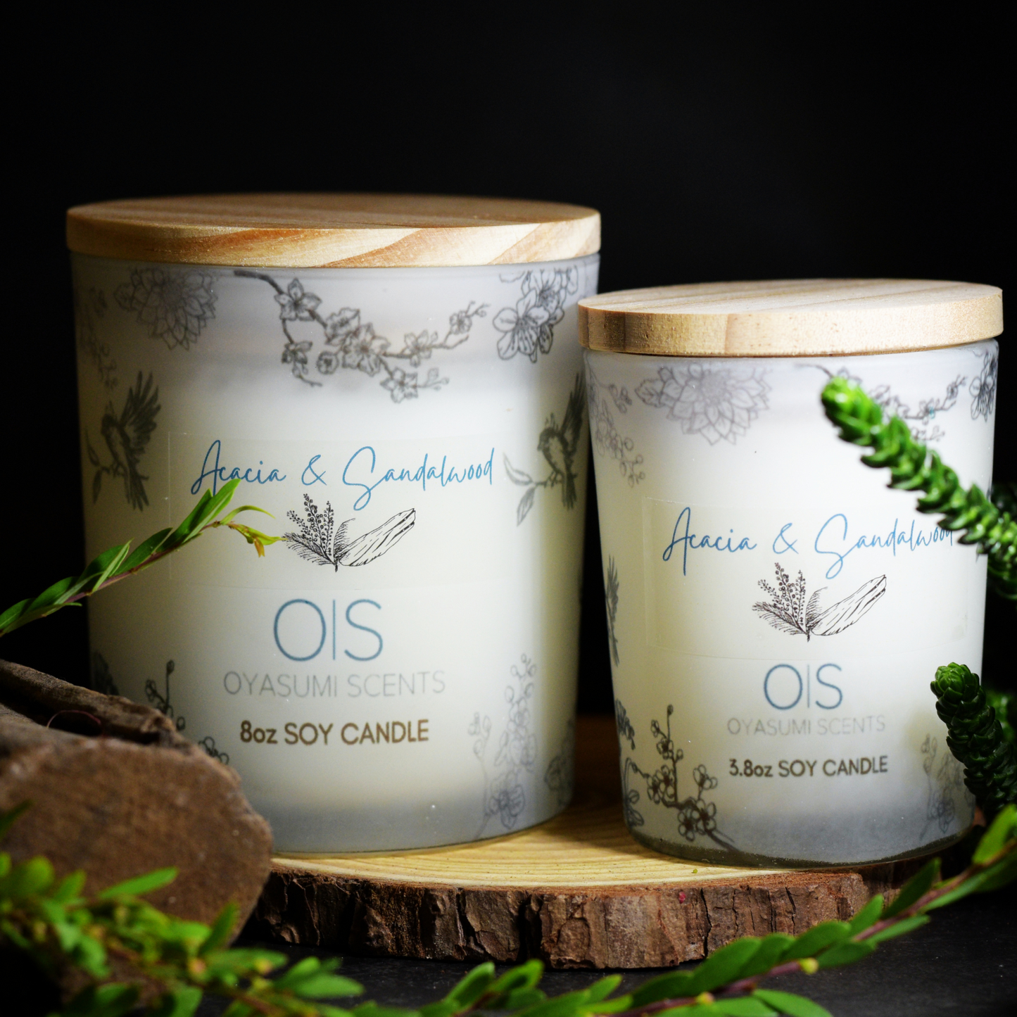 Acacia & Sandalwood Soy Candle