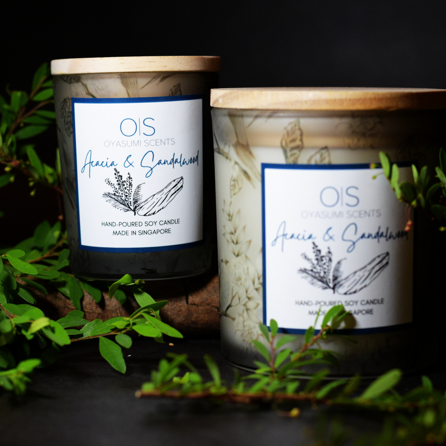 Acacia & Sandalwood Soy Candle